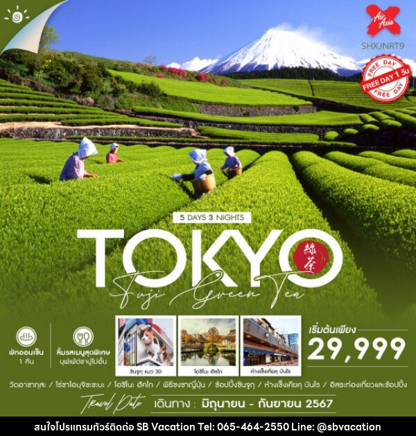 ทัวร์ญี่ปุ่น TOKYO FUJI GREEN TEA  - บริษัท เอส บี เวเคชั่น จำกัด