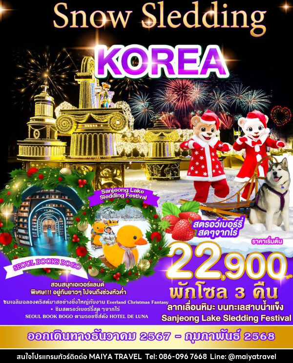 ทัวร์เกาหลี SNOW SLENDDING KOREA - MAIYA TRAVEL 