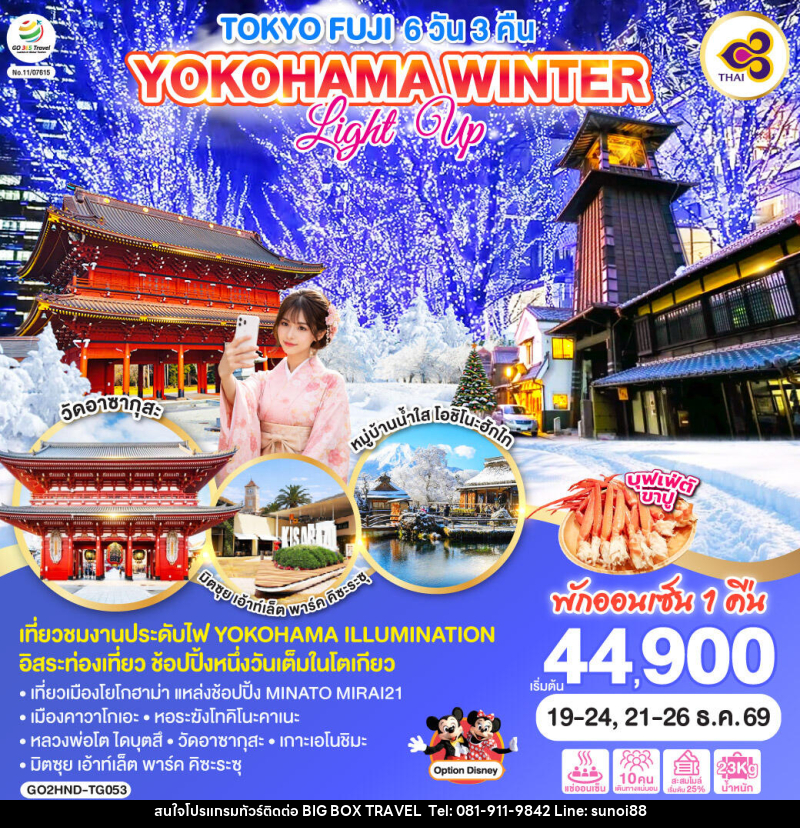 ทัวร์ญี่ปุ่น TOKYO FUJI YOKOHAMA WINTER LIGHT UP - บริษัท บิ๊กบ๊อก ทราเวล แอนด์ สตูดิโอ จำกัด