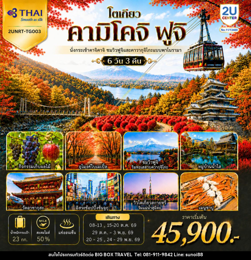 ทัวร์ญี่ปุ่น โตเกียว คามิโคจิ ฟูจิ นั่งกระเช้าคาจิคาจิ AUTUMN FULL BLOOM - บริษัท บิ๊กบ๊อก ทราเวล แอนด์ สตูดิโอ จำกัด