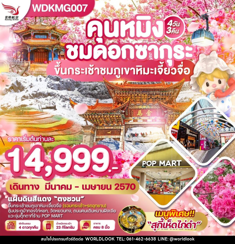 ทัวร์จีน คุนหมิง ชมดอกซากุระ ขึ้นกระเช้าชมภูเขาหิมะเจี้ยวจื่อ - บริษัท เวิลด์ลุค จำกัด ทัวร์จีน คุนหมิง ชมดอกซากุระ ขึ้นกระเช้าชมภูเขาหิมะเจี้ยวจื่อ - บริษัท เวิลด์ลุค จำกัด