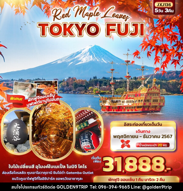 ทัวร์ญี่ปุ่น Red Maple Leaves TOKYO FUJI  - บริษัท โกลเด้นนายน์ทริป จำกัด