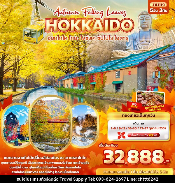 ทัวร์ญี่ปุ่น Hokkaido Autumn Falling Leaves  ฮอกไกโด โทยะ โจซังเค ซัปโปโร โอตารุ  - ซี ที เอช ทราเวิล ซัพพลาย