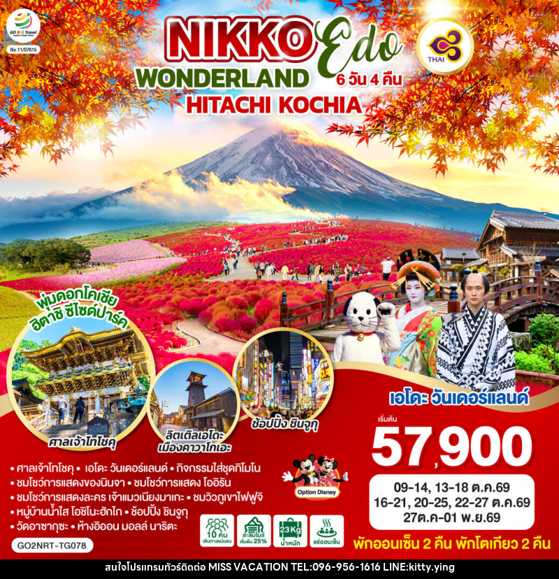 ทัวร์ญี่ปุ่น NIKKO EDO WONDERLAND HITACHIKOCHIA - บริษัท มิส.วาเคชั่น จำกัด