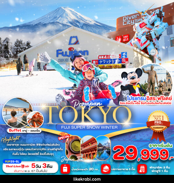 ทัวร์ญี่ปุ่น TOKYO FUJI SNOW PEACH - 