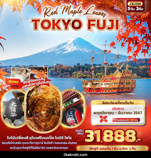 ทัวร์ญี่ปุ่น Red Maple Leaves TOKYO FUJI  - 