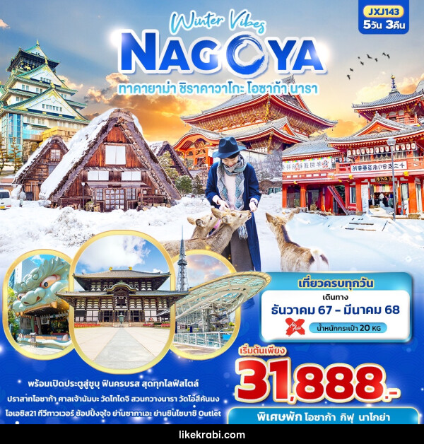 ทัวร์ญี่ปุ่น Winter Vibes NAGOYA  ทาคายาม่า ชิราคาวาโกะ โอซาก้า นารา  - 