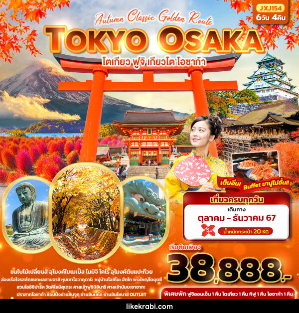 ทัวร์ญี่ปุ่น Autumn Classic Golden Route TOKYO OSAKA โตเกียว ฟูจิ เกียวโต โอซาก้า  - 