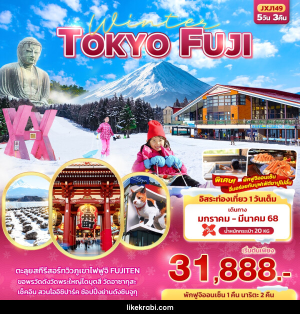 ทัวร์ญี่ปุ่น Winter TOKYO FUJI - 