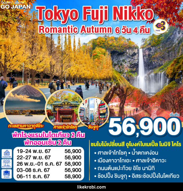 ทัวร์ญี่ปุ่น TOKYO FUJI NIKKO ROMANTIC AUTUMN - 