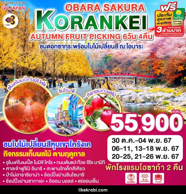 ทัวร์ญี่ปุ่น KORANKEI OBARA SAKURA & AUTUMN FRUIT PICKING - 