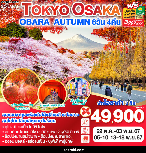 ทัวร์ญี่ปุ่น TOKYO OSAKA OBARA AUTUMN - 