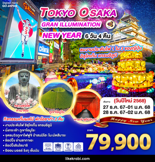 ทัวร์ญี่ปุ่น TOKYO OSAKA GRAN ILLUMINATION NEW YEAR - 