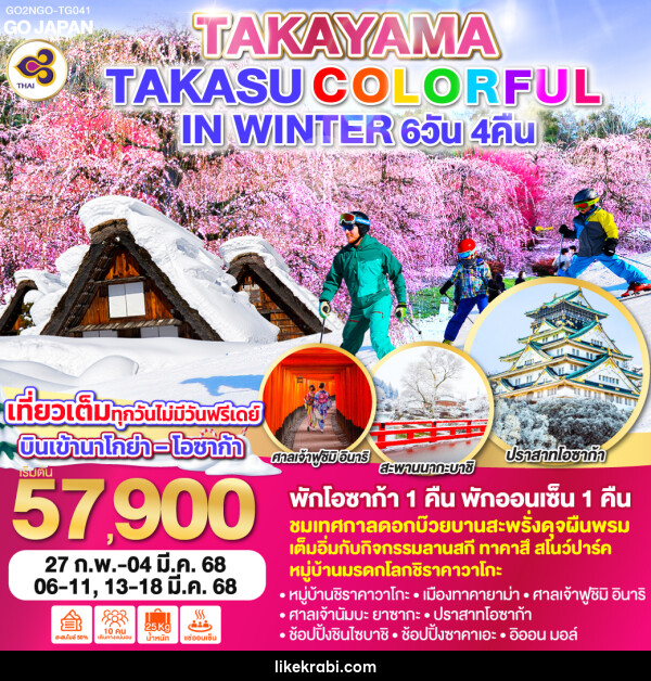 ทัวร์ญี่ปุ่น TAKAYAMA TAKASU COLORFUL IN WINTER - 