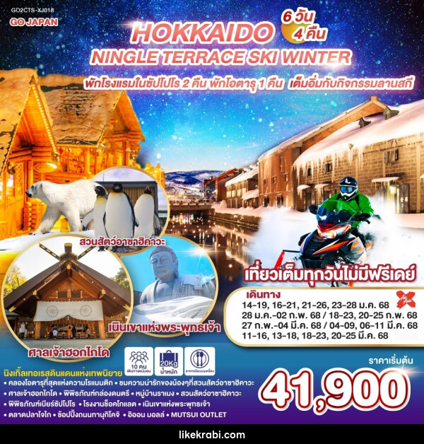 ทัวร์ญี่ปุ่น HOKKAIDO NINGLE TERRACE SKI WINTER - 