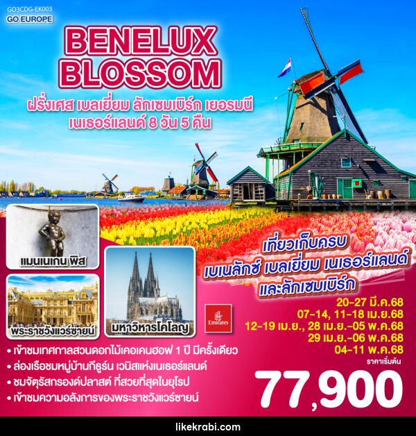 ทัวร์ยุโรป BENELUX BLOSSOM ฝรั่งเศส เบลเยี่ยม ลักเซมเบิร์ก  เยอรมนี เนเธอร์แลนด์ - 