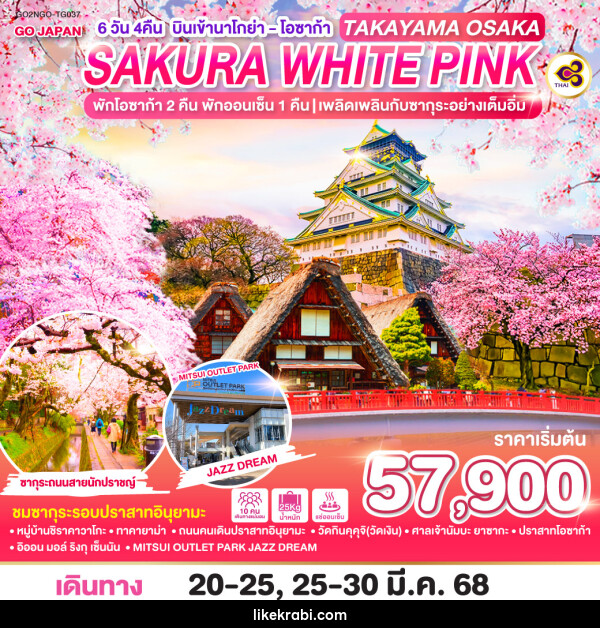 ทัวร์ญี่ปุ่น TAKAYAMA OSAKA SAKURA WHITE PINK - 