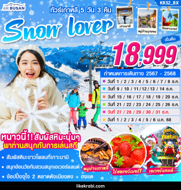 ทัวร์เกาหลี Snow Lover - 