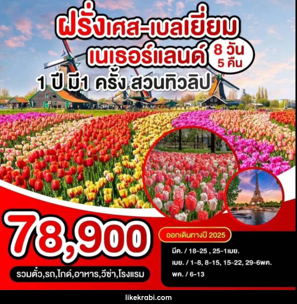 ทัวร์ยุโรป ฝรั่งเศส  เบลเยี่ยม เนเธอแลนด์ 1 ปี มี 1 ครั้ง สวนทิวลิป - 