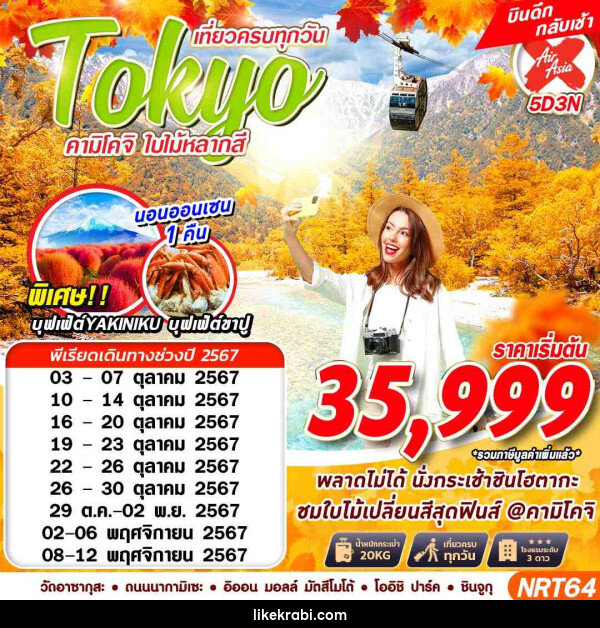 ทัวร์ญี่ปุ่น TOKYO คามิโคจิ ใบไม้หลากสี - 