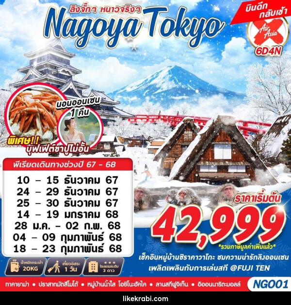 ทัวร์ญี่ปุ่น NAGOYA TOKYO WINTER ลิงจั๊กๆหนาวจริงๆ - 