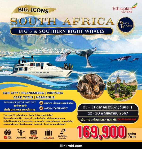 ทัวร์แอฟริกาใต้ SOUTH AFRICA BIG 5 & SOUTHERN RIGHT WHALES - 