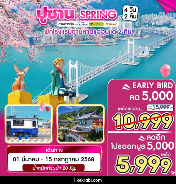 ทัวร์เกาหลี ปูซาน SPRING - 