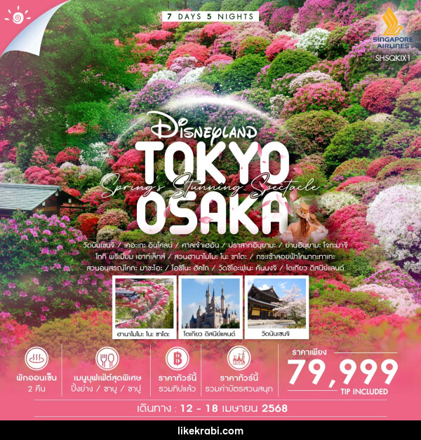 ทัวร์ญี่ปุ่น Disneyland TOKYO OSAKA - 