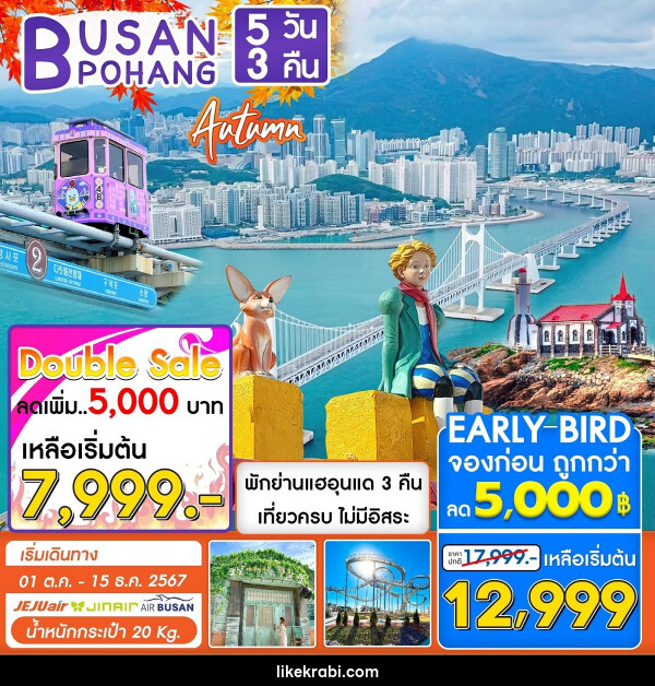 ทัวร์เกาหลี BUSAN POHANG AUTUMN - 