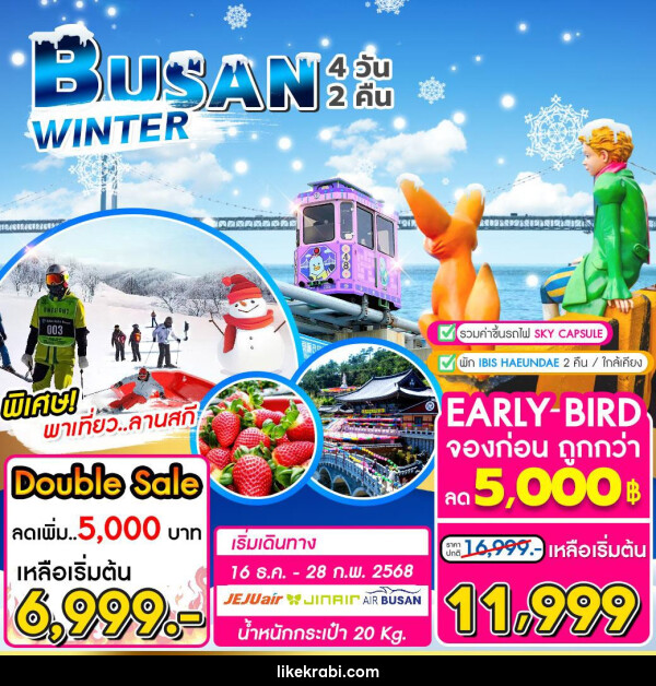 ทัวร์เกาหลี BUSAN WINTER - 