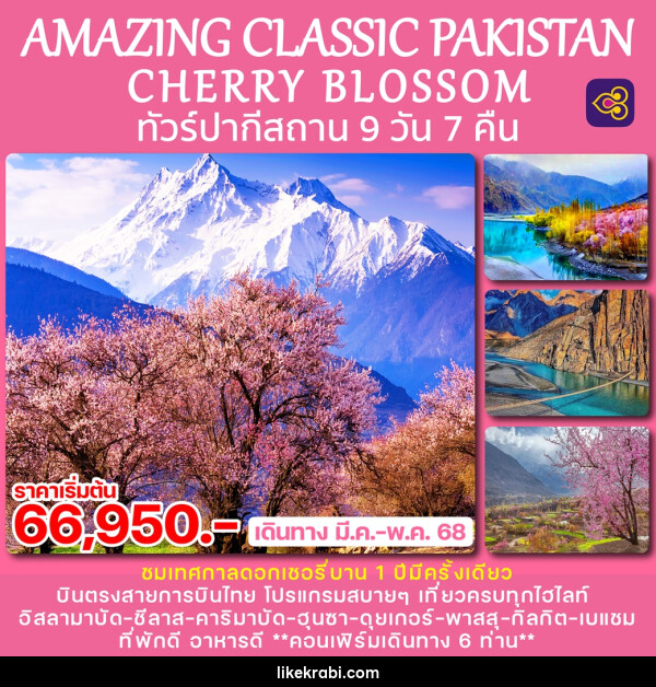 ทัวร์ปากีสถาน AMAZING CLASSIC PAKISTAN CHERRY BLOSSOM - 