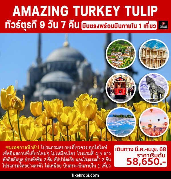 ทัวร์ตุรกี AMAZING TURKEY TULIP - 