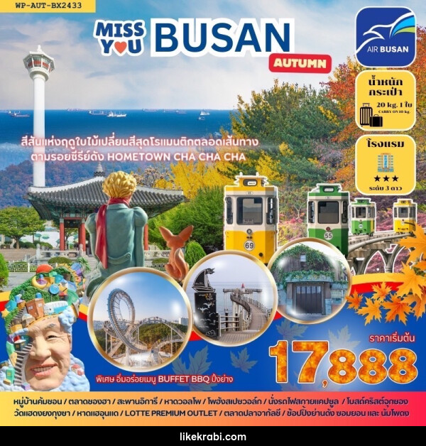 ทัวร์เกาหลี  Miss You BUSAN AUTUMN - 