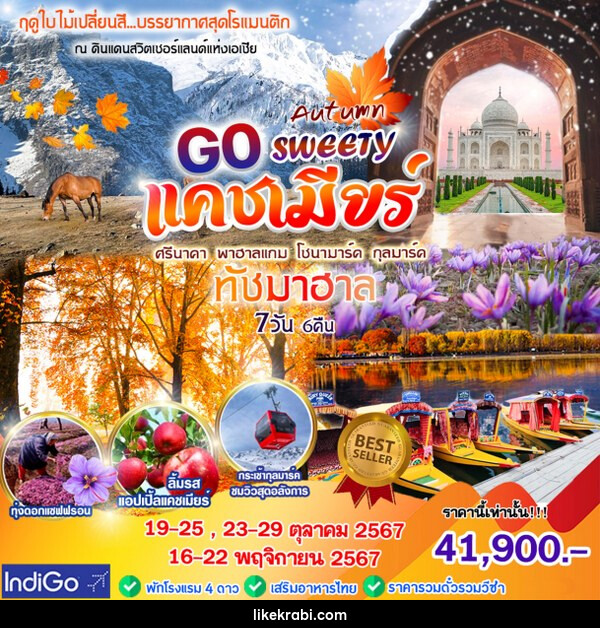 ทัวร์แคชเมียร์ GO SWEETY AUTUMN  - 