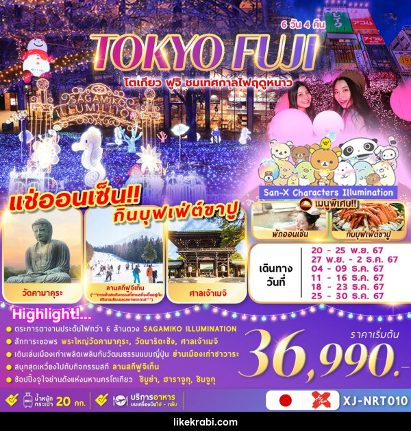 ทัวร์ญี่ปุ่น TOKYO FUJI  ชมงานประดับไฟ เล่นสกีฤดูหนาว  - 