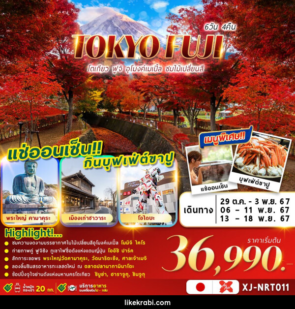 ทัวร์ญี่ปุ่น TOKYO FUJI AUTUMN - 