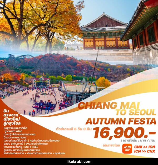 ทัวร์เกาหลี CHIANG MAI TO SEOUL AUTUMN FESTA  - 