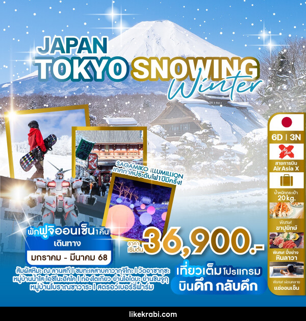 ทัวร์ญี่ปุ่น JAPAN TOKYO SNOWING WINTER - 