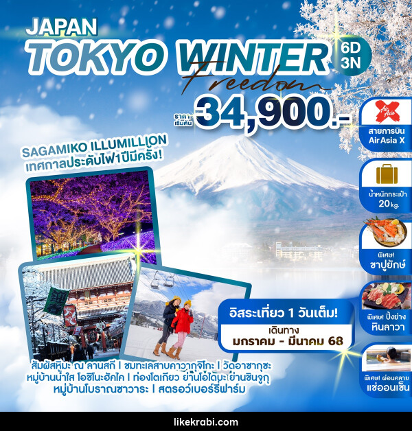 ทัวร์ญี่ปุ่น JAPAN TOKYO WINTER FREEDOM - 