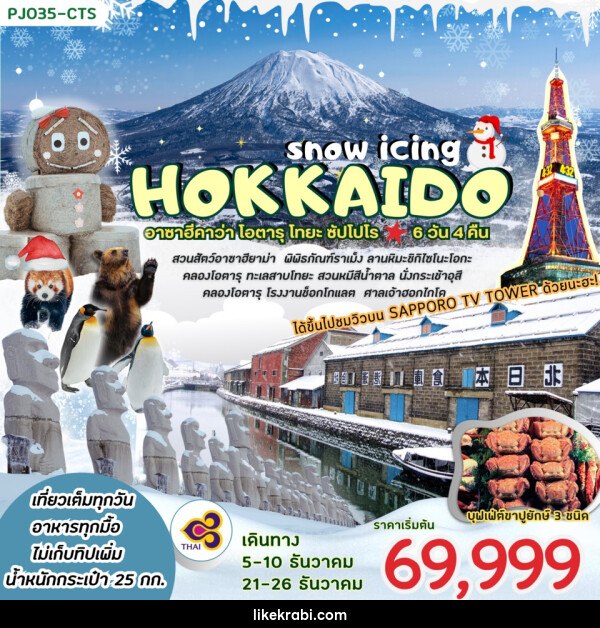 ทัวร์ญี่ปุ่น HOKKAIDO SNOW ICING - 