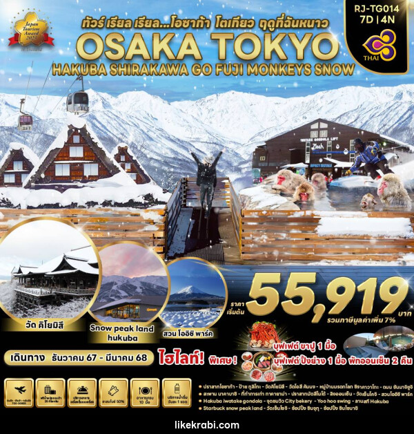 ทัวร์ญี่ปุ่น OSAKA TOKYO HAKUBA SHIRAKAWA GO FUJI MONKEYS SNOW - 