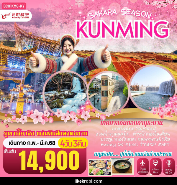 ทัวร์จีน SAKURA SEASON KUNMING คุนหมิง ภูเขาหิมะเจี้ยวจื่อ แผ่นดินสีแดงตงชวน - 