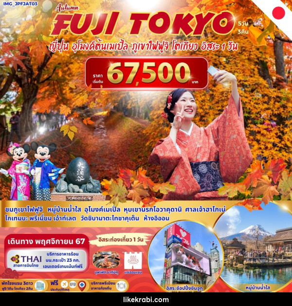 ทัวร์ญี่ปุ่น FUJI TOKYO ญี่ปุ่น อุโมงค์ต้นเมเปิ้ล ภูเขาไฟฟูจิ โตเกียว อิสระ 1 วัน - 