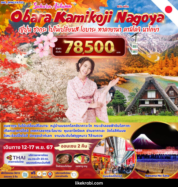 ทัวร์ญี่ปุ่น Sakura Autumn Obara Kamikoji Nagoya - 