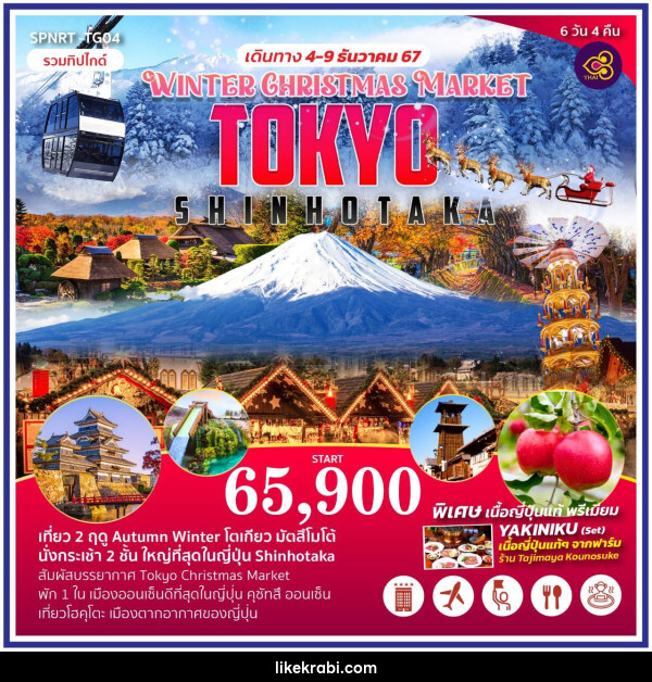 ทัวร์ญี่ปุ่น WINTER CHRISTMAS MARKET TOKYO SHINHOTAKA - 