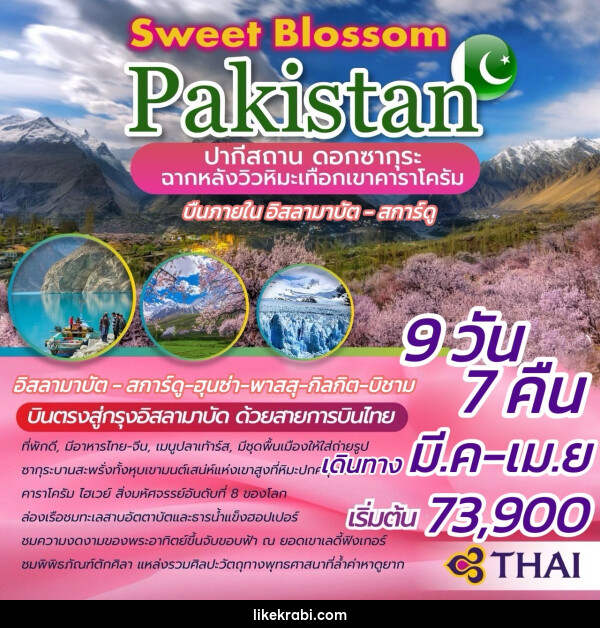 ทัวร์ปากีสถาน Sweet Blossom PAKISTAN ดอกซากุระ ฉากหลังวิวหิมะเทือกเขาคาราโครัม - 