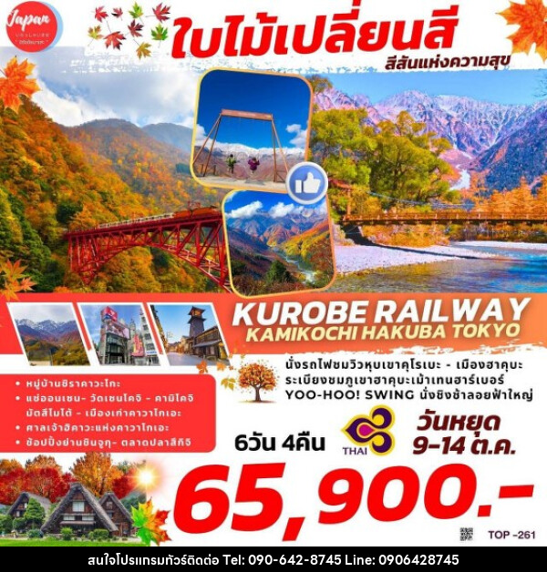 ทัวร์ญี่ปุ่น KUROBE RAILWAY KAMIKOCHI HAKUBA TOKYO - Atlas Discovery