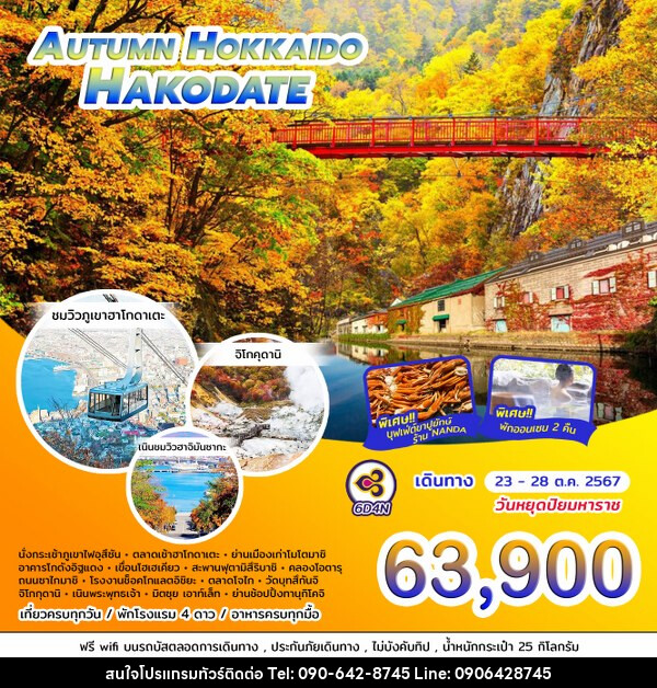 ทัวร์ญี่ปุ่น AUTUMN HOKKAIDO HAKODATE - Atlas Discovery