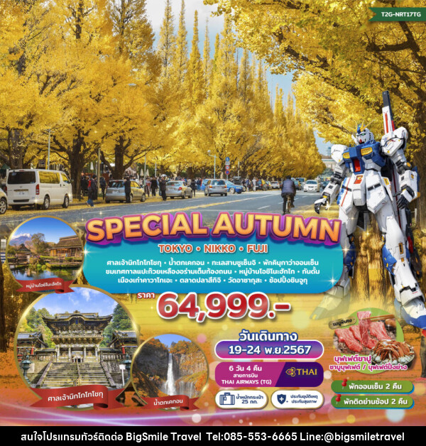 ทัวร์ญี่ปุ่น SPECIAL AUTUMN…TOKYO NIKKO FUJI GINKO FESTIVAL - บริษัท บิ๊กสมาย ทราเวล จำกัด