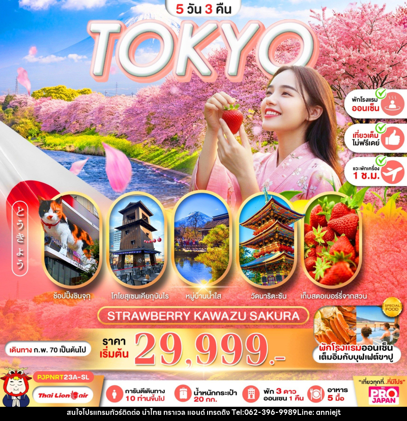 ทัวร์ญี่ปุ่น PRO TOKYO STRAWBERRY KAWAZU SAKURA - นำไทย ทราเวล แอนด์ เทรดดิ้ง ทัวร์ญี่ปุ่น PRO TOKYO STRAWBERRY KAWAZU SAKURA - นำไทย ทราเวล แอนด์ เทรดดิ้ง